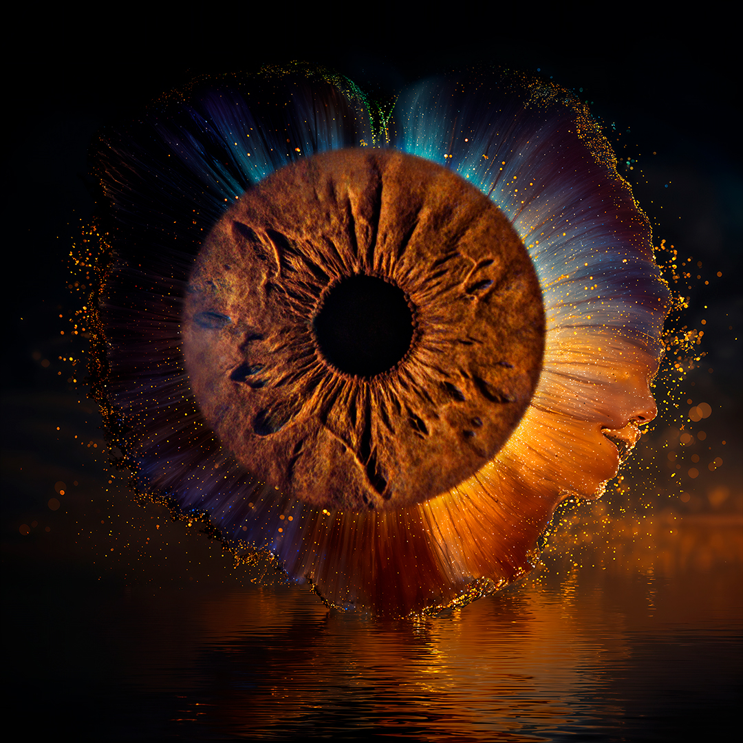 Tableau artistique de regard - Photo d'iris dans les Landes