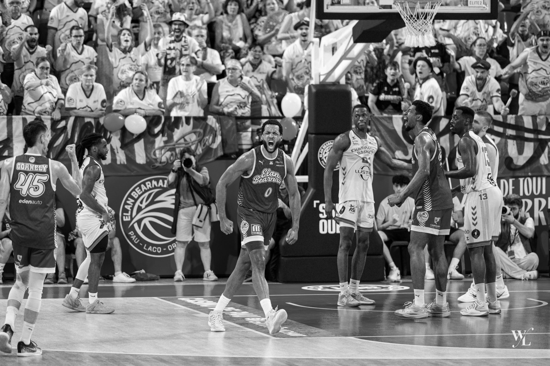 Reportage de basket à Pau - Photographe sportif Sud-Ouest