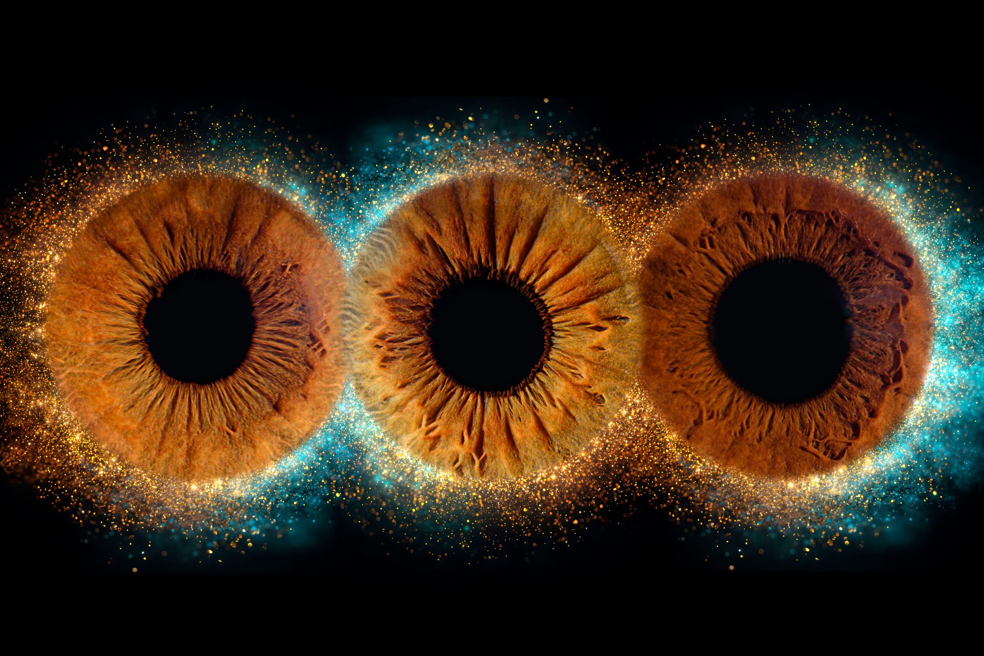 Cliché haute définition d'un iris coloré