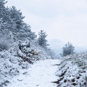 paysage-montagne-paysbasque
