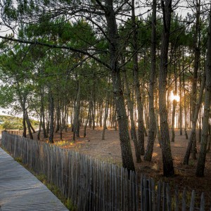 paysage-ocean-atlantique-landes