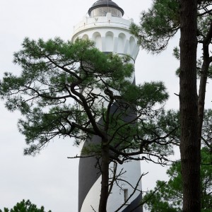 paysage-ocean-atlantique-landes