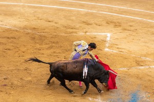 corrida-montdemarsan-2021