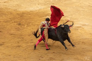 corrida-montdemarsan-2021