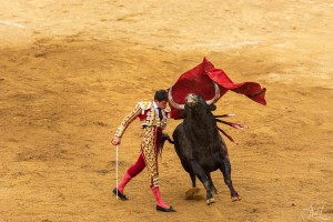 Corrida Vendredi 23 Juillet 2021 Mont de Marsan