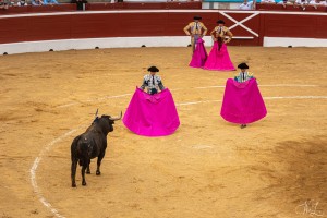 corrida-montdemarsan-2021