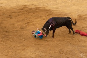 corrida-montdemarsan-2021