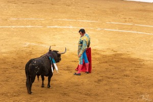 corrida-montdemarsan-2021