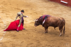 corrida-montdemarsan-2021