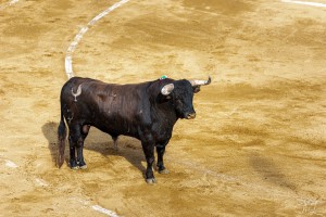 corrida-montdemarsan-2021