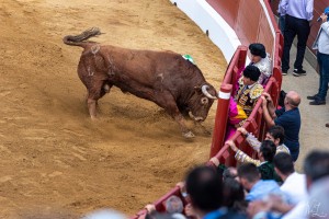 corrida-montdemarsan-2021