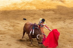 corrida-montdemarsan-2021