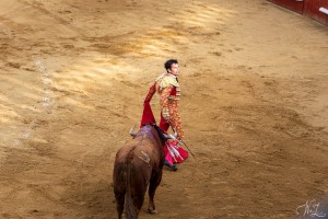 corrida-montdemarsan-2021