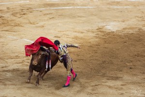 corrida-montdemarsan-2021