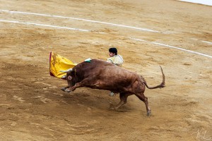 corrida-montdemarsan-2021
