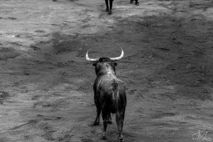 corrida-montdemarsan-2021