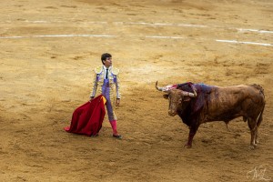 corrida-montdemarsan-2021