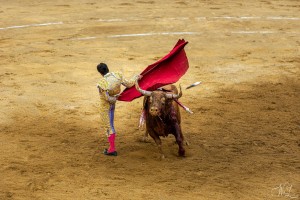 corrida-montdemarsan-2021