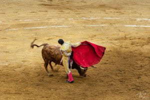 corrida-montdemarsan-2021